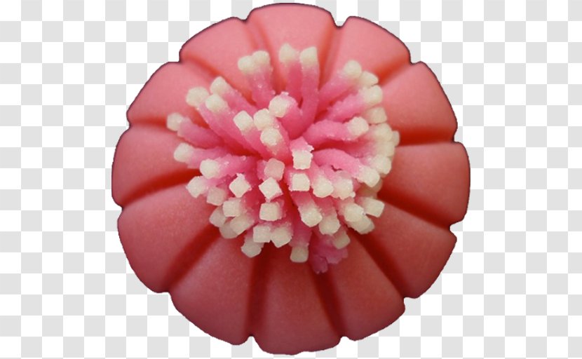 Pink M - Flower - Peach Transparent PNG