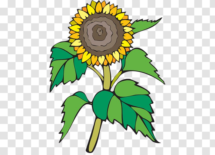 Clip Art - Tree - Sunflower Seed Transparent PNG