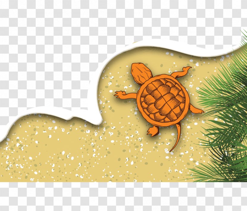 Adobe Illustrator Download Euclidean Vector - Resort - Hand-drawn Illustration Yellow Turtle Beach Transparent PNG