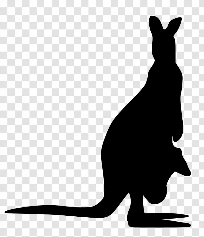 Featured image of post Kangaroo Silhouette Transparent Download 46 kangaroo silhouette free vectors
