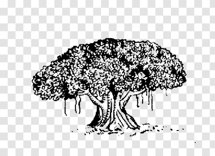 Elections In India Samajwadi Janata Party (Rashtriya) Electoral Symbol - Tree - Indian Transparent PNG