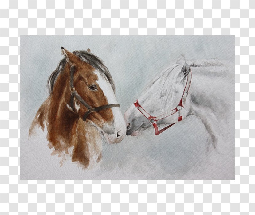 Bridle Stallion Shire Horse Painting Halter Transparent PNG