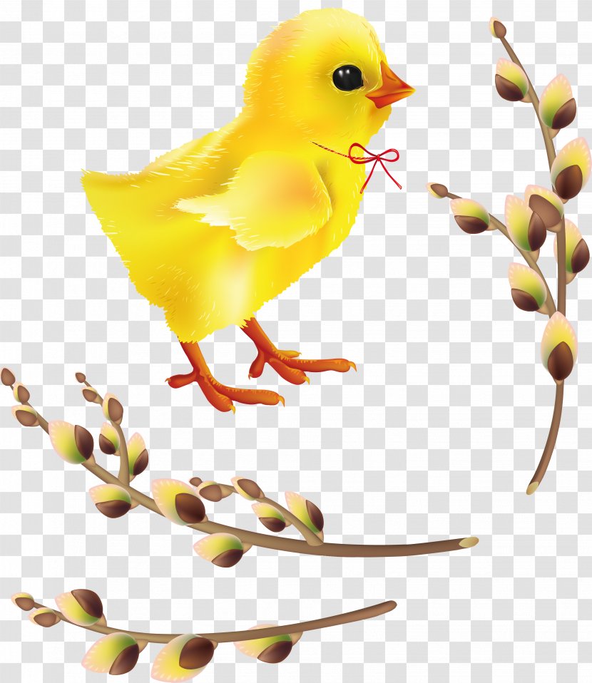 Easter Bunny Clip Art - Water Bird - People Can Not Help But Want To Touch Chick Transparent PNG