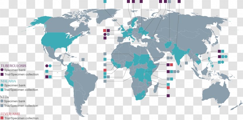 World Map - Mapa Polityczna - Blank Transparent PNG