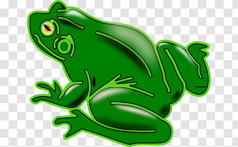 Common Frog Clip Art - Amphibian Transparent PNG
