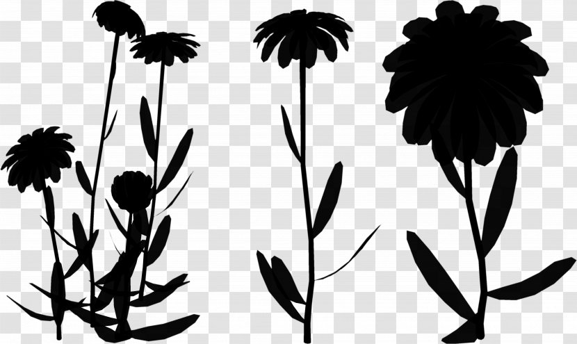 Leaf Plant Stem Silhouette Font Pattern - Daisy Family Transparent PNG