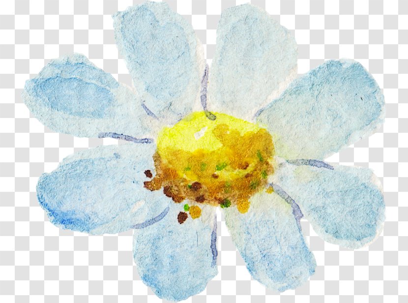Watercolour Flowers Watercolor Painting - Organism Transparent PNG