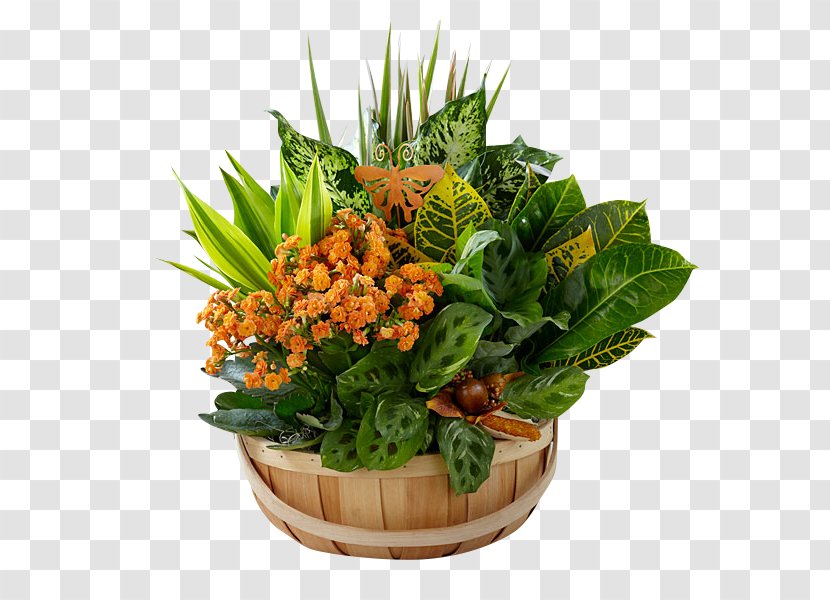 Garden Design Flower Basket Plant - Superfood - Blooming Lilies Transparent PNG
