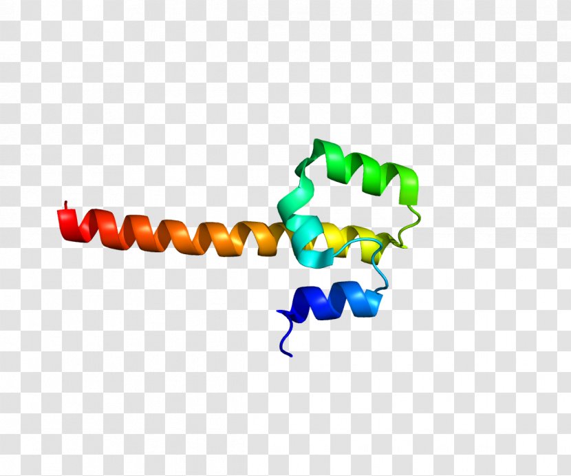 NFE2 BZIP Domain Protein Transcription Factor MAFF - Frame - Start Transparent PNG