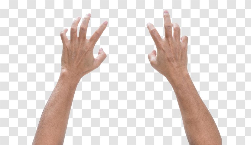 Finger Hand Digit Ratio Foot Male Transparent PNG