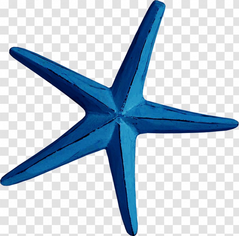 Starfish Blue Creativity Euclidean Vector - Creative Transparent PNG