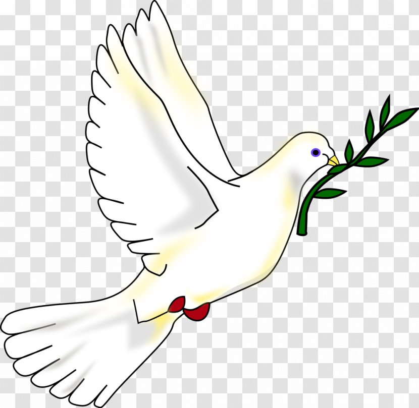 Columbidae Bird Peace Symbols Clip Art - Frame - Pigeon Transparent PNG