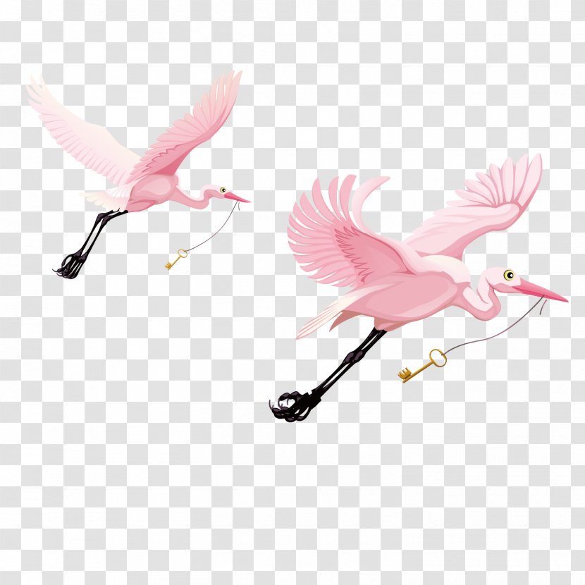 Water Bird Cygnini Wing - Vector Pink Swan Transparent PNG