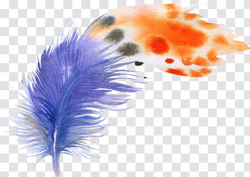 Bird Feather Watercolor Painting Drawing Illustration - Bohochic Transparent PNG