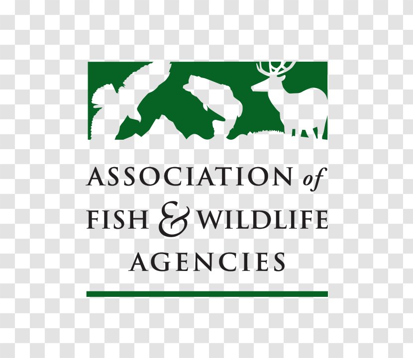 Association Of Fish & Wildlife Agencies United States And Service The Society Fishing - Grass Transparent PNG