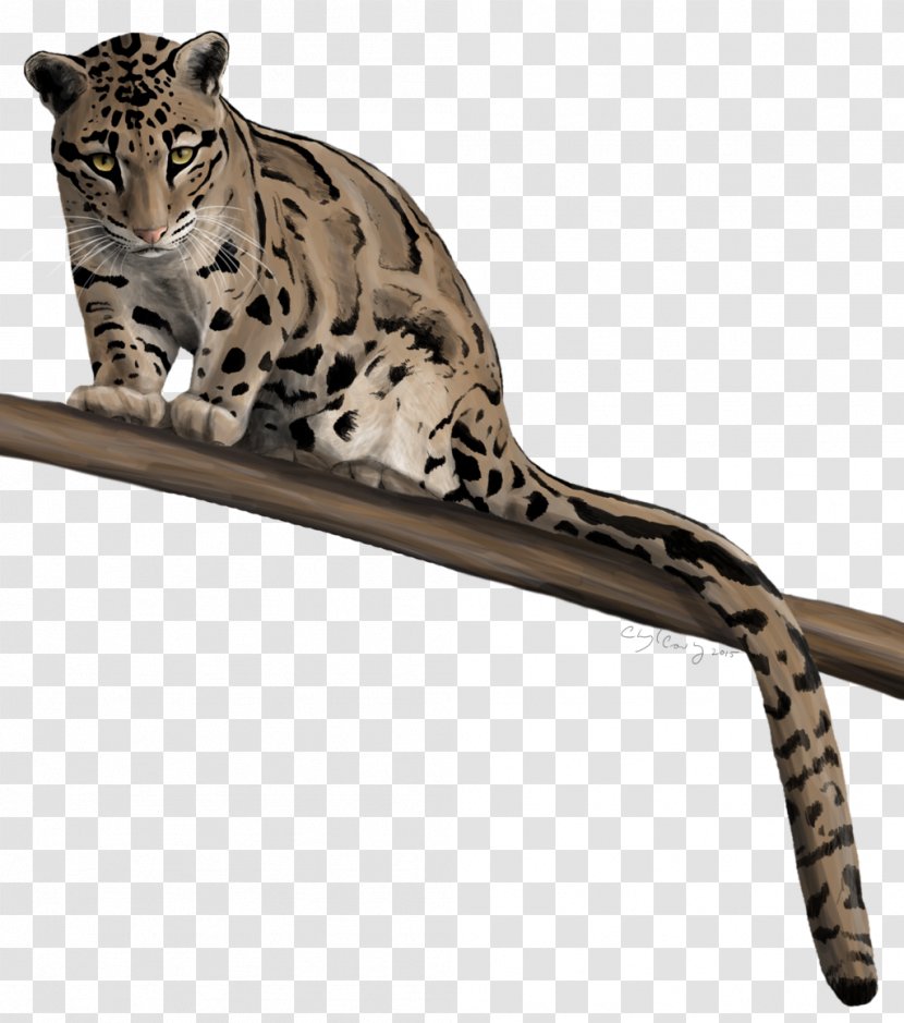 Leopard Cheetah Impala Felidae Ocelot - Carnivora Transparent PNG
