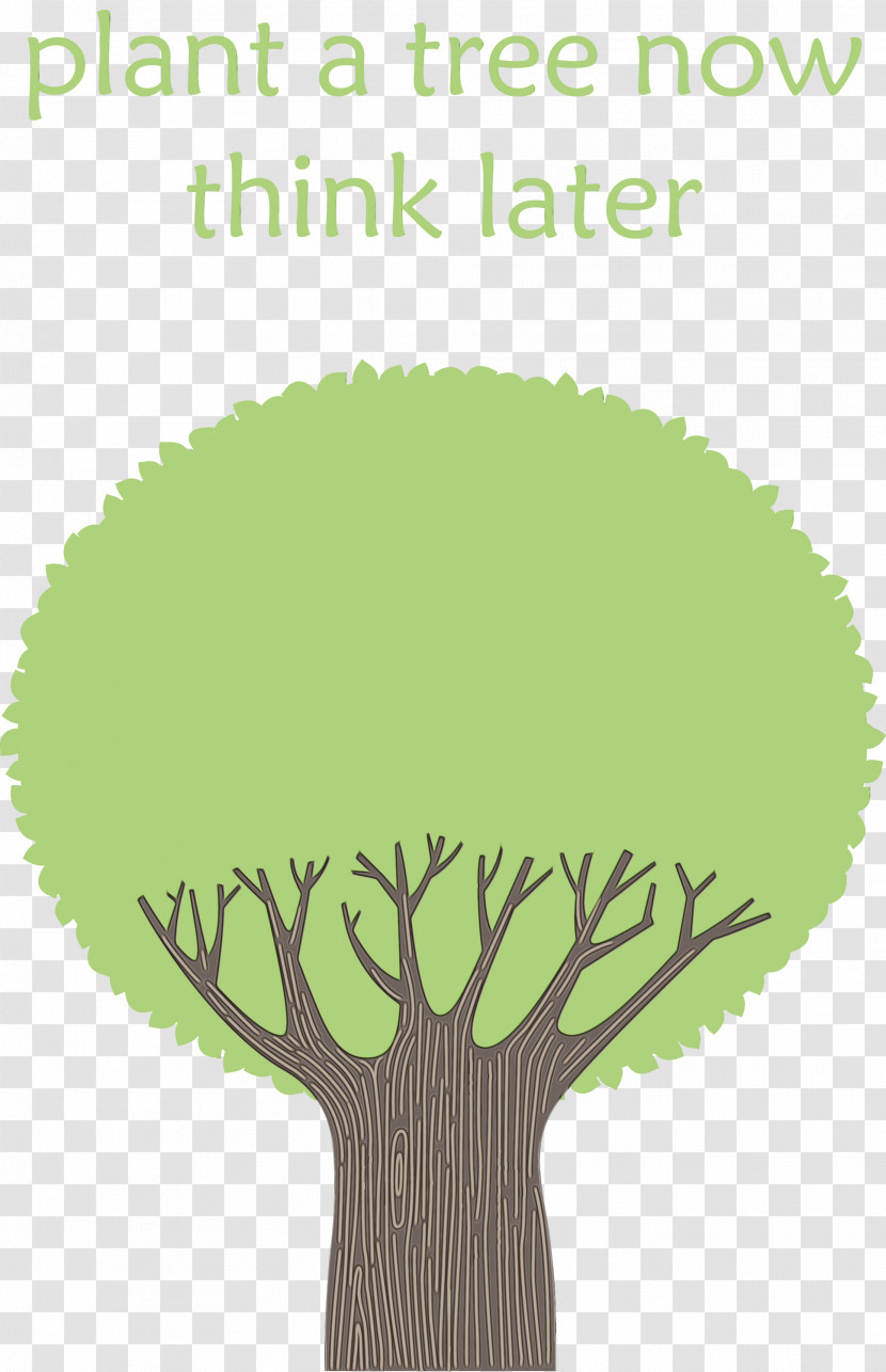 Leaf Font Green Meter Tree Transparent PNG