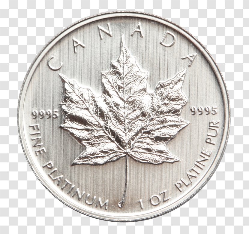 Gold Coin Canadian Maple Leaf Silver Transparent PNG