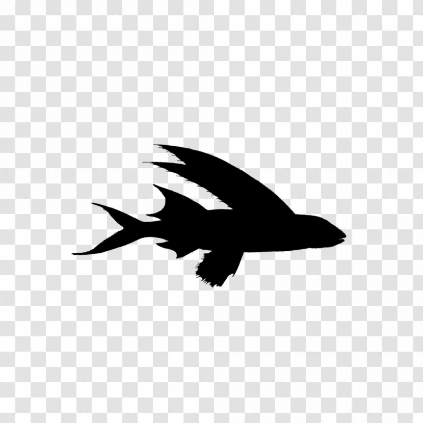 Bald Eagle Bird Beak Fauna Font - Logo Transparent PNG