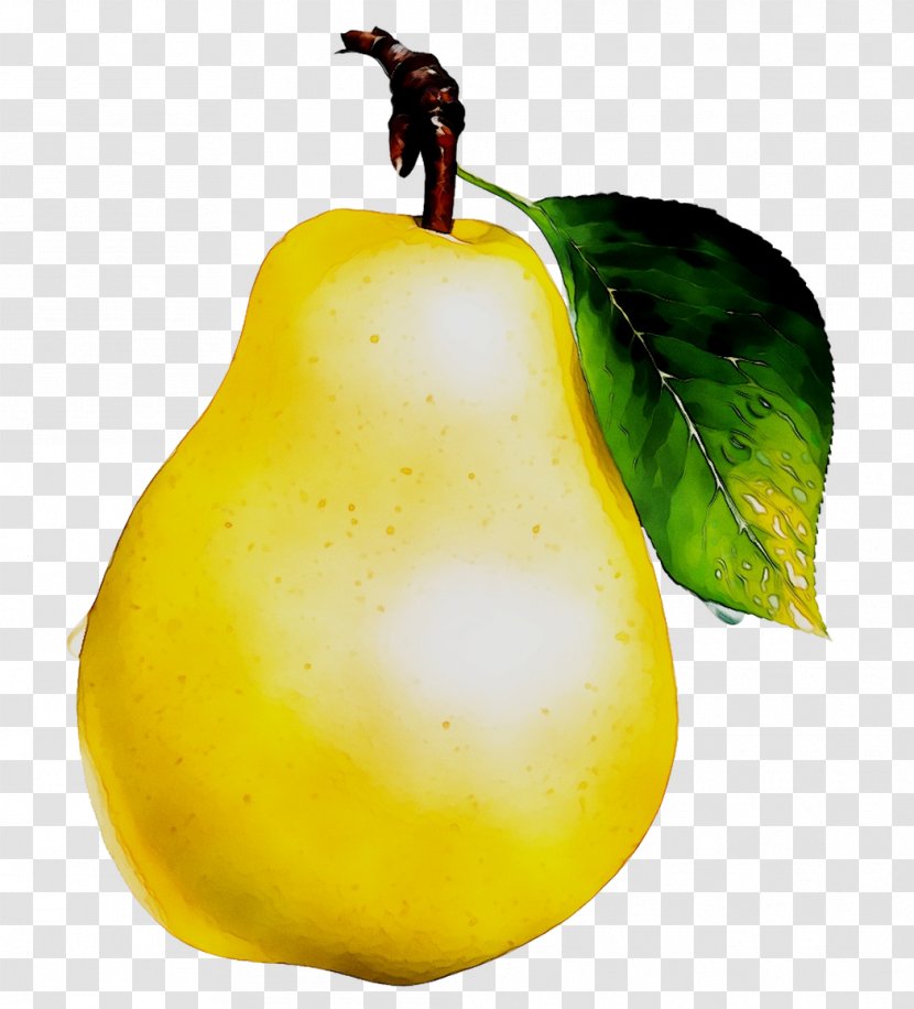 Fruit Pear Vegetable Food Compote Transparent PNG