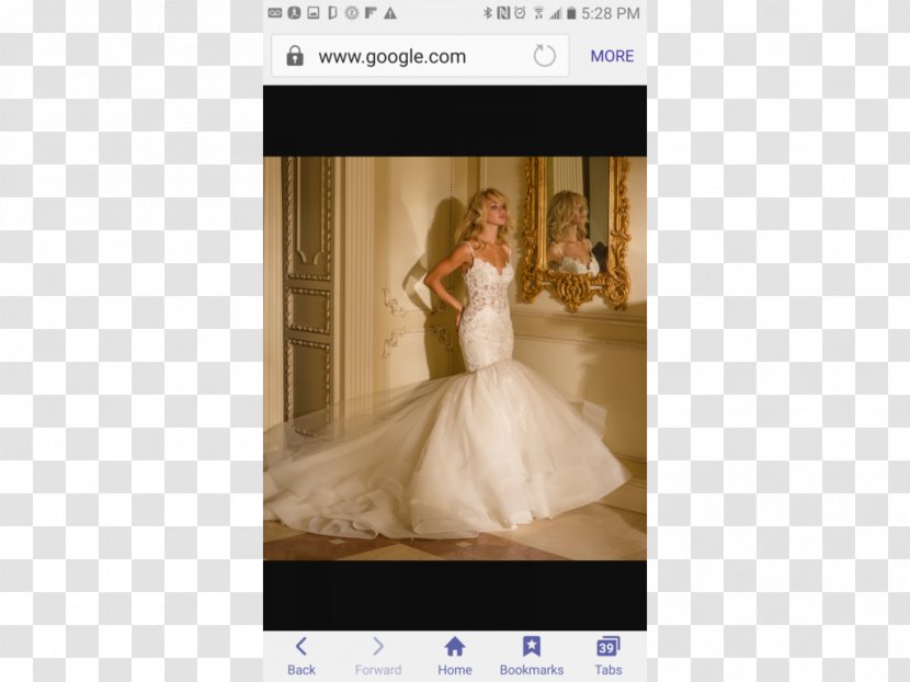 Wedding Dress Bride Video Transparent PNG