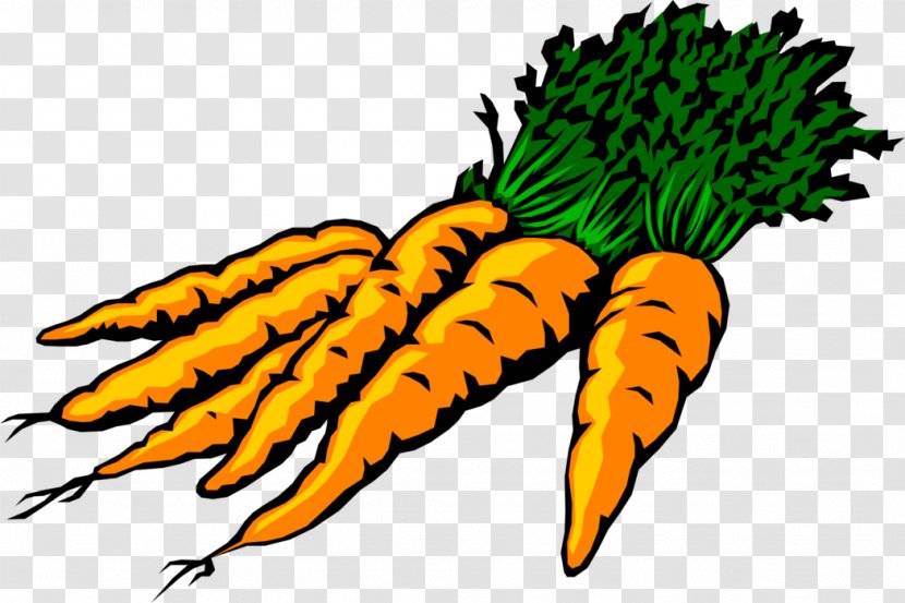 Clip Art Carrot Image GIF Illustration - Claw Transparent PNG