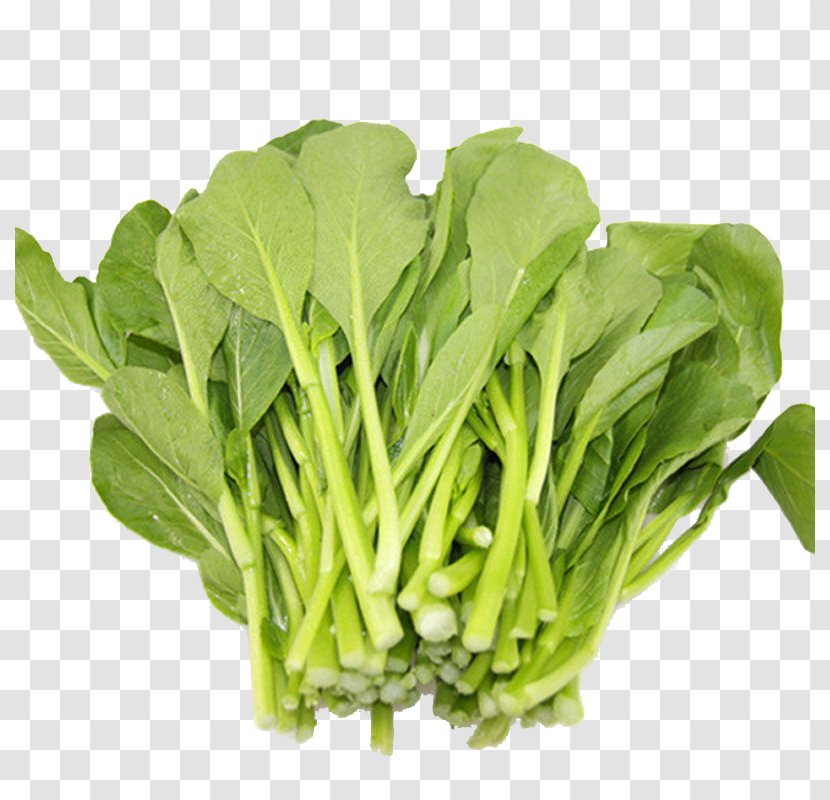 Romaine Lettuce Choy Sum Chinese Cabbage Vegetable Spring Greens - Spinach - Vegetables Transparent PNG