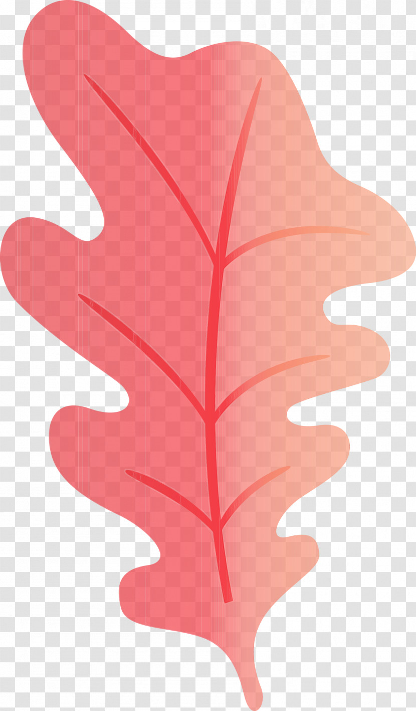 Leaf Flower Angle Line Tree Transparent PNG
