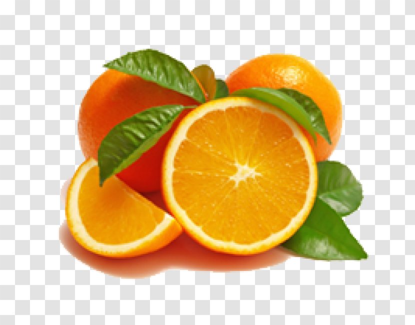 Clementine Tangerine Mandarin Orange Blood Valencia - Citrus Junos Transparent PNG