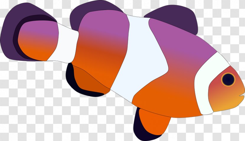 Vector Graphics Pixabay Image Clownfish - Video - Coral Reef Transparent PNG