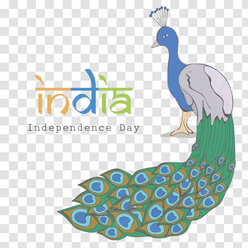 Indian Independence Day Asiatic Peafowl Flag Of India - Organism - Vector Peacock Transparent PNG