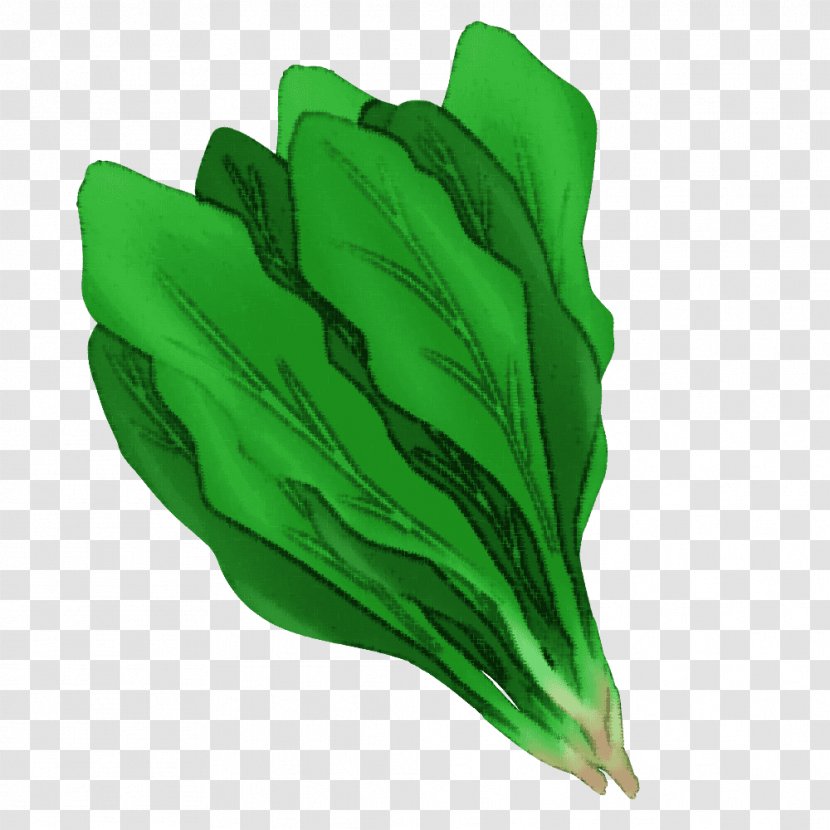 Leaf Glove Safety - Green Transparent PNG
