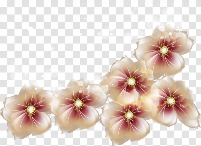 Ice Cream Peaches And Flower - Malvales - Transparent Flowers Clipart Transparent PNG