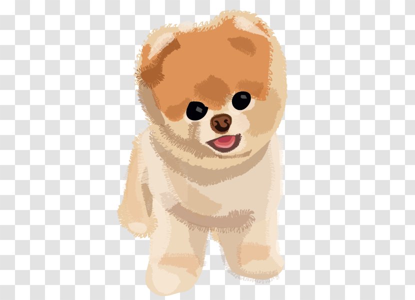Pomeranian Puppy Boo - Tree - Dog Transparent Image Transparent PNG
