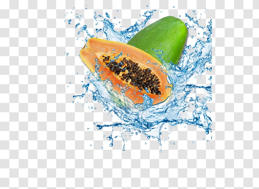 Papaya Water Icon - Fruit Transparent PNG