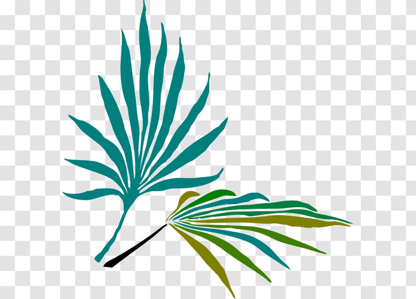 Frond Arecaceae Palm-leaf Manuscript Clip Art - Flower - Leaf Transparent PNG