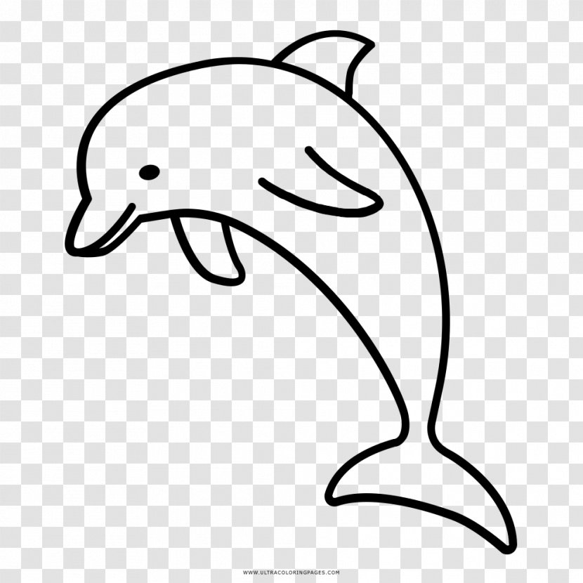 River Dolphin Drawing Clip Art - Artwork Transparent PNG