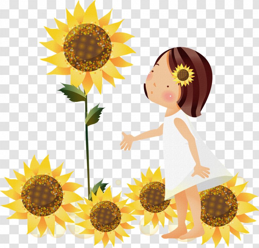 Common Sunflower Clip Art - Flower - Girassol Transparent PNG