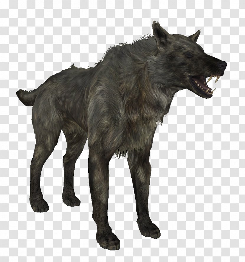 Gray Wolf Oblivion WolfQuest The Elder Scrolls V: Skyrim – Dragonborn American Pit Bull Terrier - Pack Transparent PNG