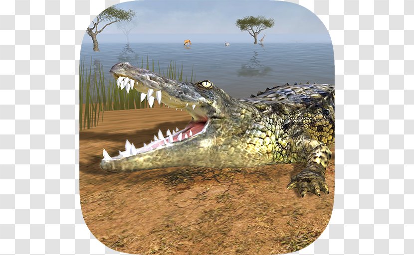 Nile Crocodile Simulator 2015 Wild 3D - Fauna Transparent PNG