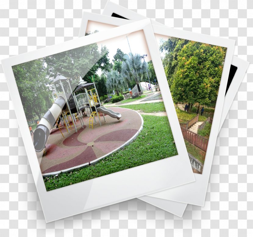 Photographic Paper Photography - Design Transparent PNG