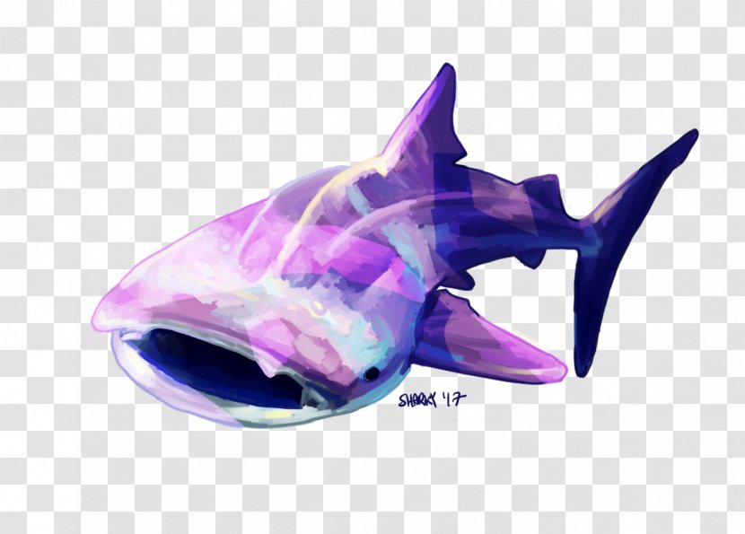 Shark Marine Mammal Dolphin Porpoise Biology - Whale Transparent PNG