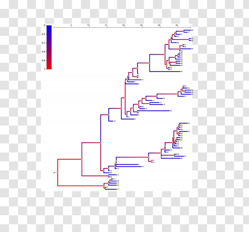 2014 Guinea Ebola Outbreak West Africa Viral Phylodynamics Phylogenetic Tree Virus Disease - Point Transparent PNG