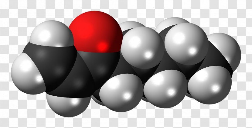 Alpha-Linolenic Acid Fatty Oct-1-en-3-one - Nonanoic Transparent PNG