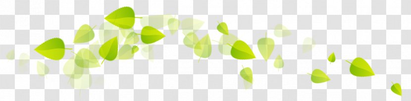 Green Tea Leaf Logo - Grass Transparent PNG
