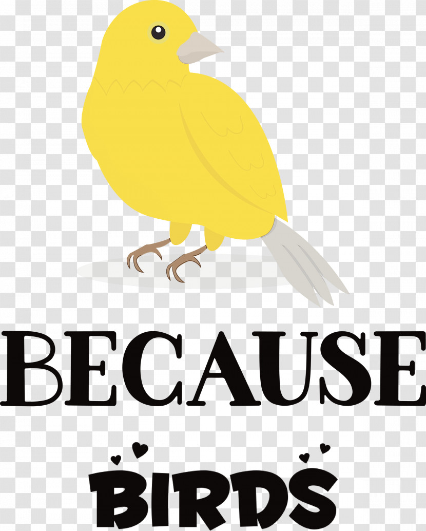 Birds Logo Beak Meter Yellow Transparent PNG