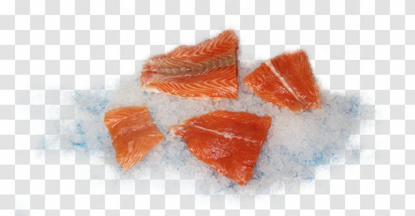 Atlantic Cod Salmon Fish Baltic Sea - Cods - Bits And Pieces Transparent PNG