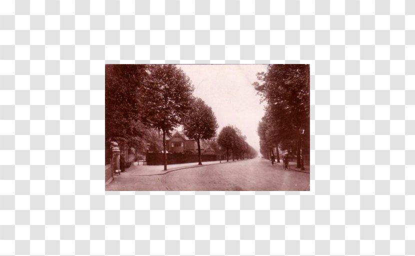 Hampstead Heath Fitzjohn's Avenue Stock Photography - Black And White - Kenwood Transparent PNG