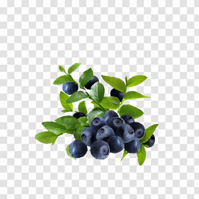 Juice Frutti Di Bosco Blueberry Bilberry Leaf - Food Transparent PNG