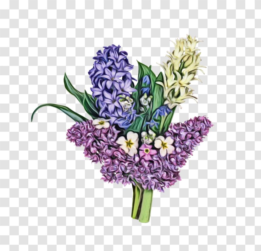 Lavender - Grape Hyacinth - Tulip Lilac Transparent PNG